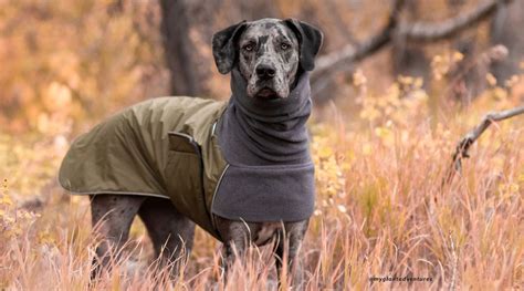 voyager k9 clearance|Voyagers K9 Apparel .